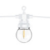 Lampki dekoracyjne LED, biały, 5m