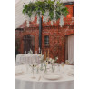 Girlanda Wisteria, 1.7m
