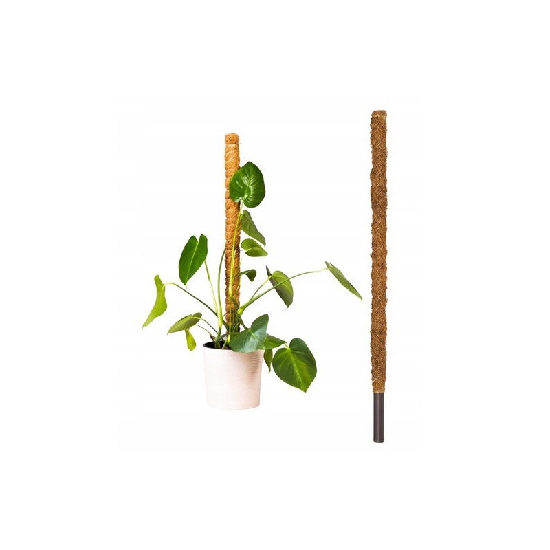 Palik Kokosowy Tyczka Podpora do Roślin 60cm