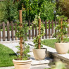 Palik Kokosowy Tyczka Podpora do Roślin 100cm
