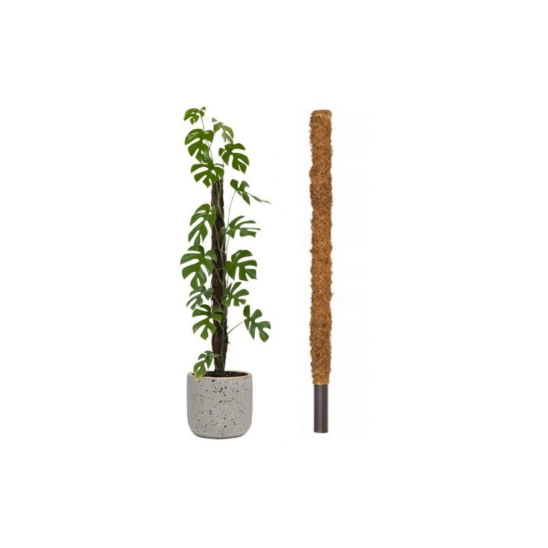 Palik Kokosowy Tyczka Podpora do Roślin 140cm