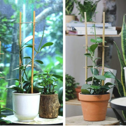 Drabinka Bambusowa Podpora do Kwiatów Roślin 45cm